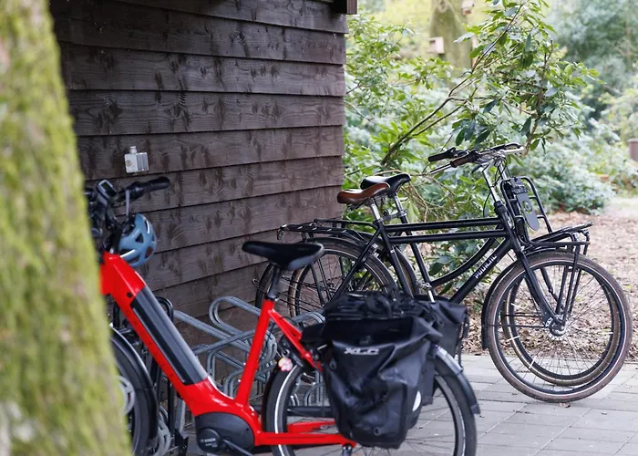 Πανσιόν Wicherumloo Wekerom