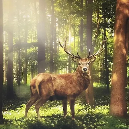 Wicherumloo Gasthof Wekerom